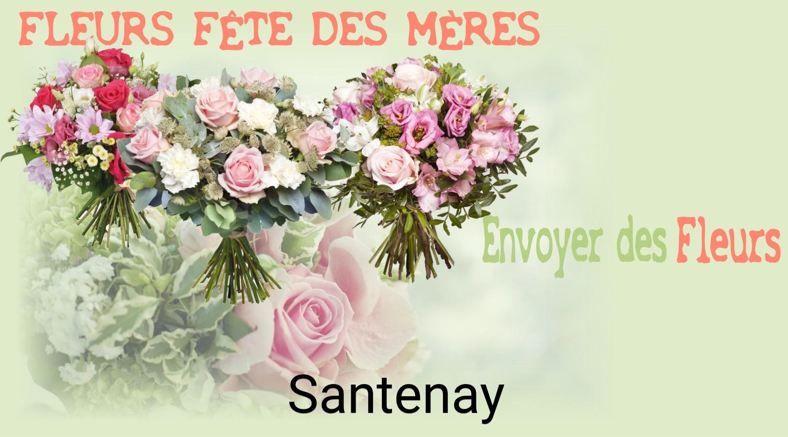 Bouquet de Fête des Mères livré à Santenay
